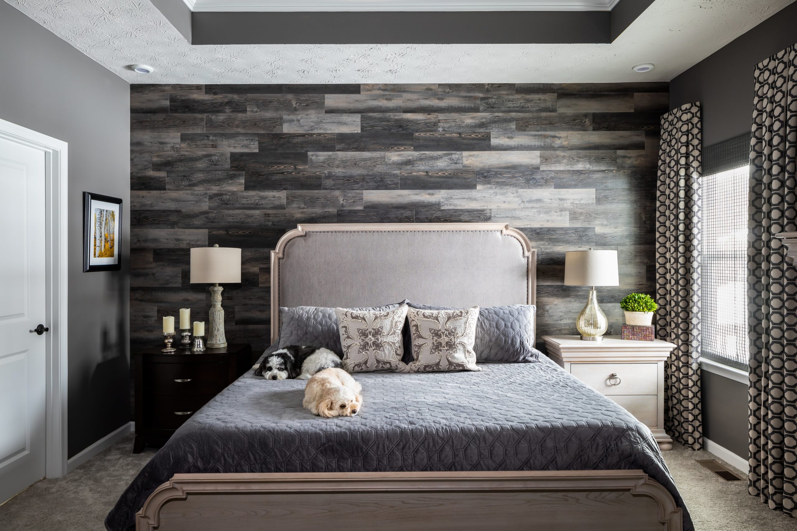 Classy Master Bedroom - Dogs on Bed