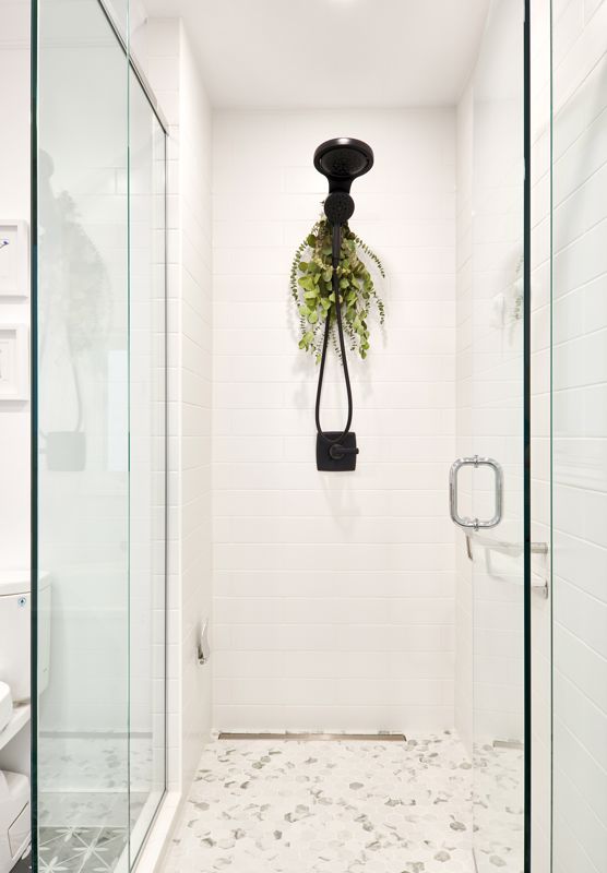 Eucalyptus plant hung in a shower